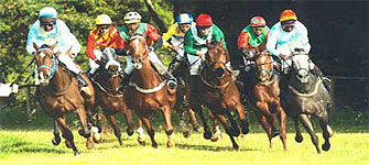 Ngong Racecourse