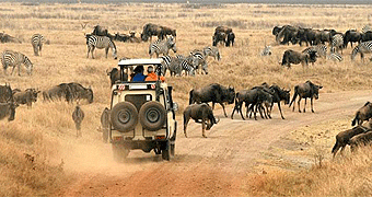 ngorongoro crater day Excursion