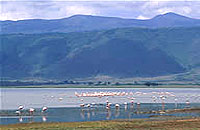 Ngorongoro Crater lake Magadi