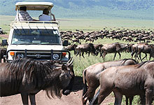 Ngorongoro Crater – Tanzania