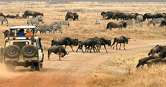 Ngorongoro Crater