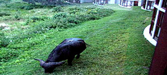 Ngorongoro Sopa
