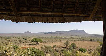 Ngulia Safari Camp