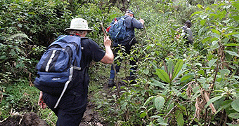 Nyungwe National Park 