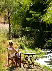 Offbeat Meru Camp
