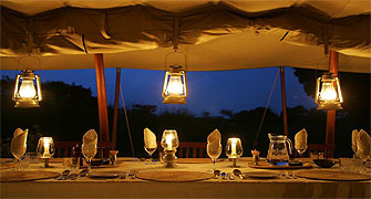Offbeat Mara Camp