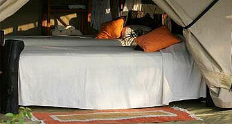 Offbeat Mara Camp