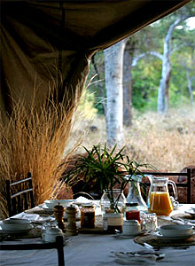 Offbeat Meru Camp