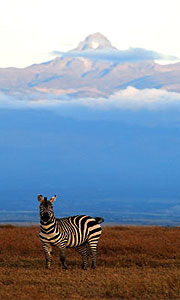 Ol Pejeta Conservancy
