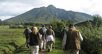 Parc National des Volcans