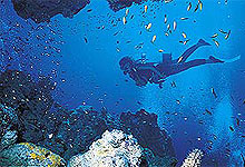 Recreational activity while at Pemba Island