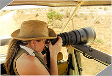 Photo Safaris