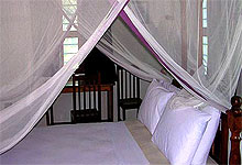 Pongwe Beach Hotel Zanzibar Island Tanzania