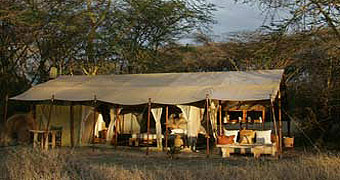 Porini Lion Camp Masai Mara