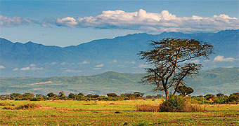 Queen Elizabeth National Park