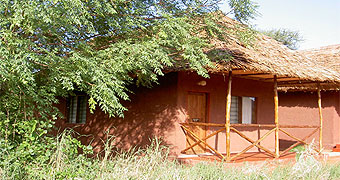 Red Elephant Safari Lodge