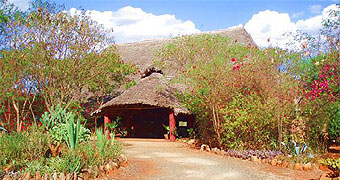 Red Elephant Safari Lodge