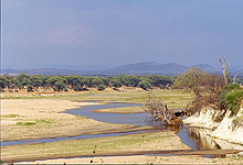 Ruaha National Park, Tanzania