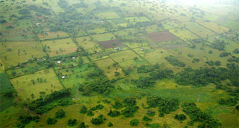 Rusinga Island Flight