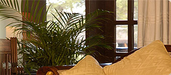 Safari Park Hotel Business Suite