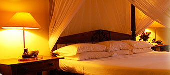 Safari Park Hotel Executive Suite