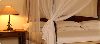 Safari Park Hotel Junior Suites