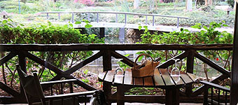Safari Park Hotel Junior Suites
