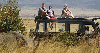 Tanzania Day Trips & Road Safaris
