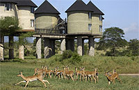 Salt Lick Lodge