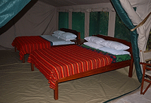 Salt Springs Mara Camp 