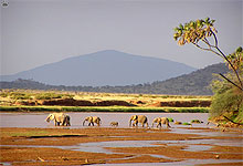 Samburu Game Reserve in Northern Kenya