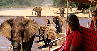 Tanzania Day Trips & Road Safaris