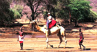 Samburu Intrepids Camp 