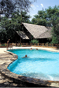 Samburu Intrepids Camp