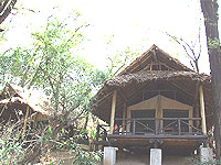 Samburu Intrepids Camp