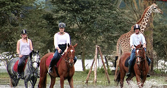 Sanctuary Farm House  horse ride Naivasha