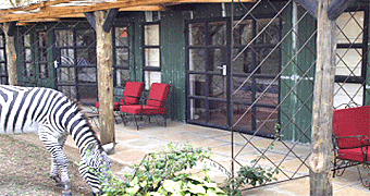Sanctuary Farm House  Naivasha 