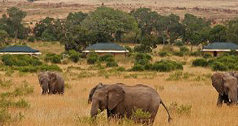 Sand River Masai Mara Camp