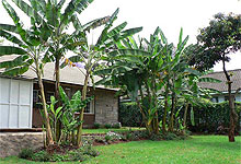 Sandavy Guest House Bed & Breakfast Nairobi 