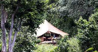 Sarara Star Camp 