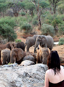 Sarara Camp