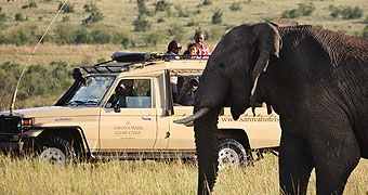 Flying Safaris