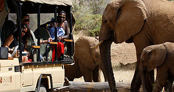 Sasaab Tented Camp