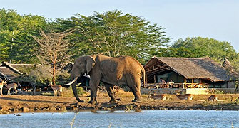 Satao Camp Tsavo East