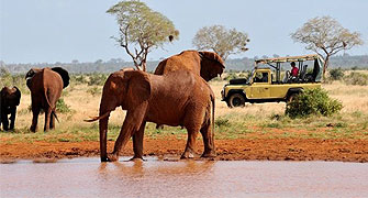 Satao Camp Tsavo East