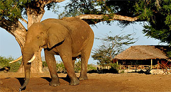 Satao Camp Tsavo East