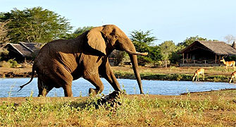 Satao Camp Tsavo East