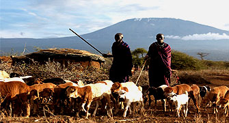 Satao Elerai Camp