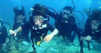 Scuba Diving Mombasa Day Trip