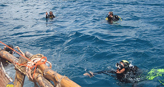 Scuba Diving Mombasa Day Trip